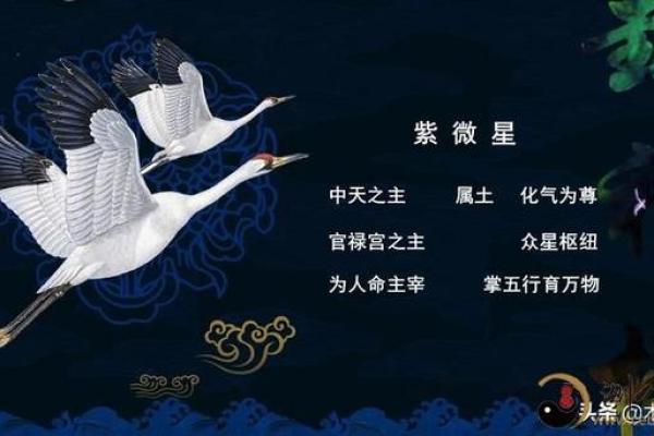 巨商紫薇斗数