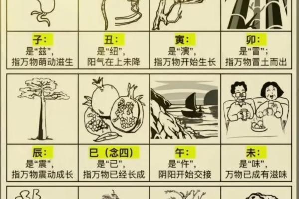 属狗的财运方位 从地支所在方向查看 西北方和东方都是不错的
