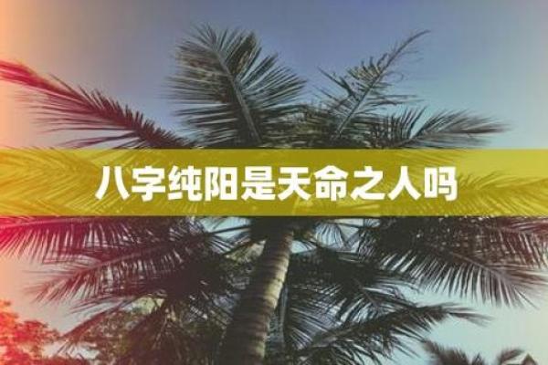 八字纯阳是天命之人 八字纯阳天生命旺