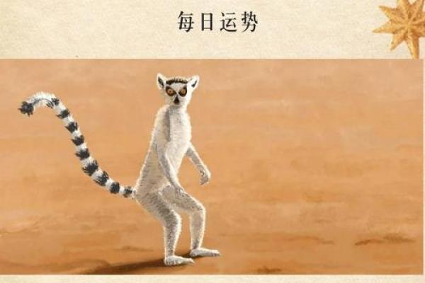 扶健八字运势：每日最新准确预测