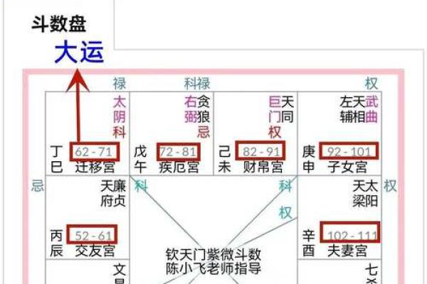 紫薇斗数看运势