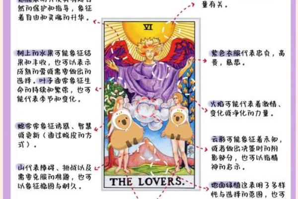 紫薇斗数和塔罗牌分别