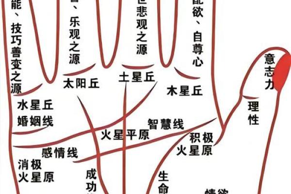 川字掌算命分析