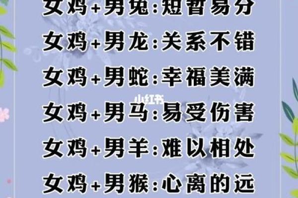 生肖配对姻缘查询鼠猴 生肖配对表鼠？