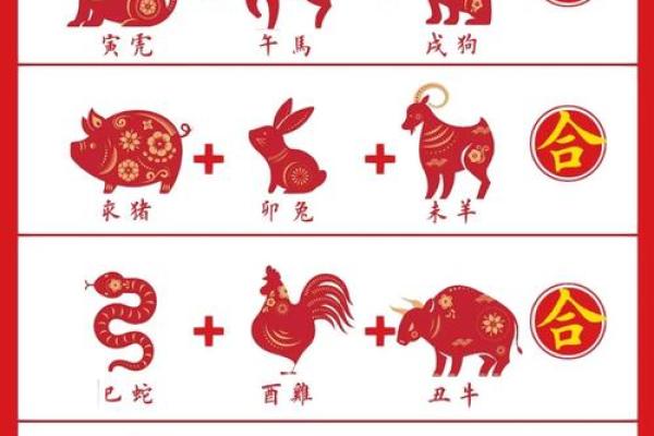 生肖配对姻缘查询鼠猴 生肖配对表鼠？