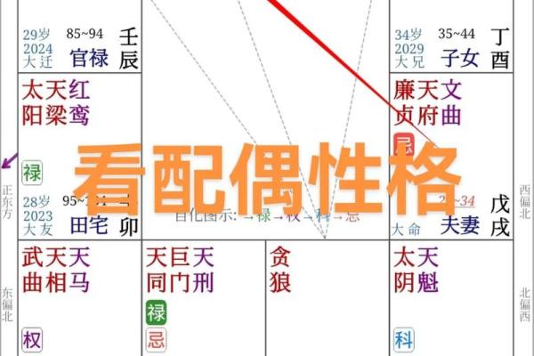 八字星盘