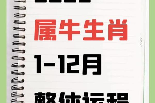 牛和牛的属相合不合 牛和牛配对可行吗