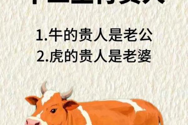 牛和牛的属相合不合 牛和牛配对可行吗