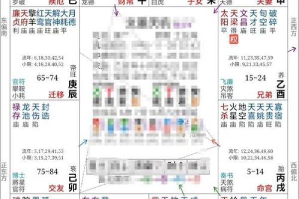 紫薇斗数不成命格