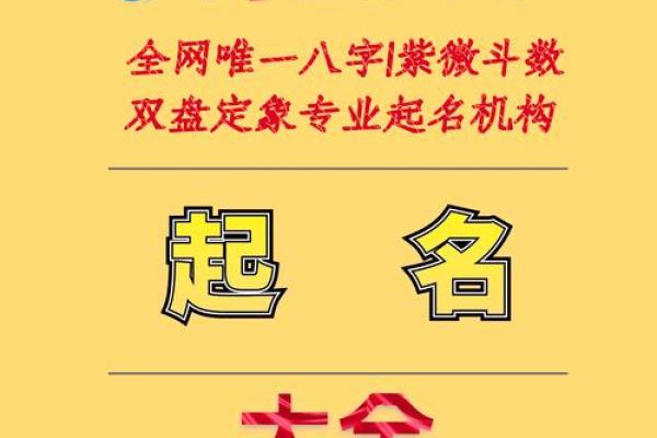 八字免费起名,取名网生辰八字免费周易起名