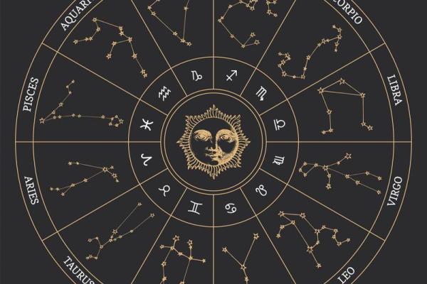紫微斗数盘里紫薇
