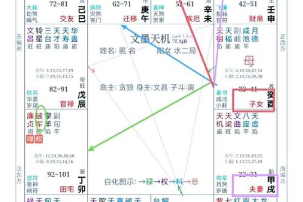 紫微斗数盘里紫薇
