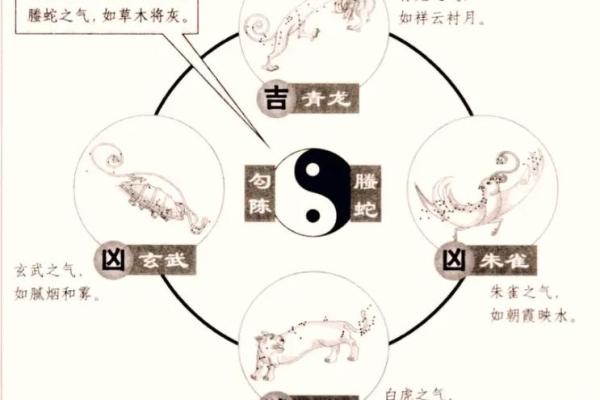 八字基础：五行旺相休囚死