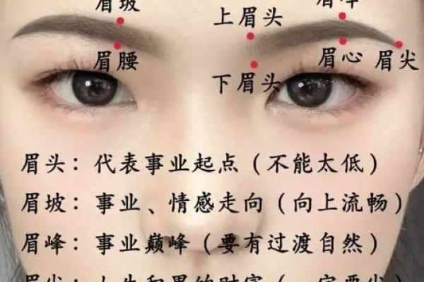 风水角度什么眉毛最好看最招财：长眉