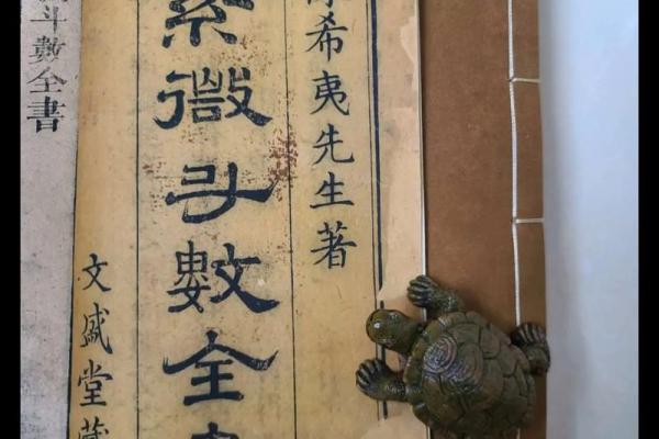 紫薇斗数书推荐