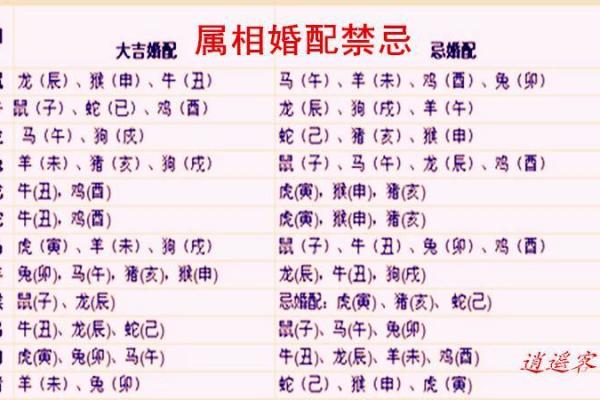 女蛇男兔生肖配对姻缘 属蛇女与属兔男婚姻配对详解