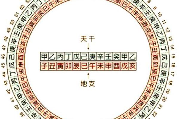 八字十天干的特点要义（上）