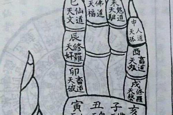 一掌经算命方法解说吉凶生克