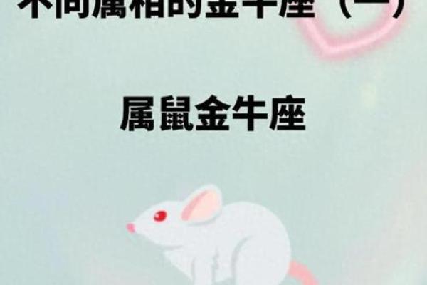 属鼠女金牛座配对合适吗