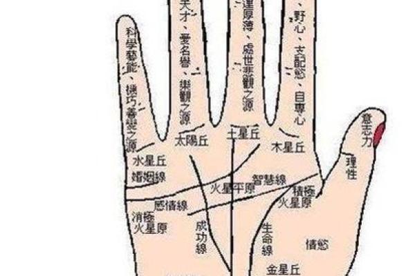 手相算命话语,手相算命说法
