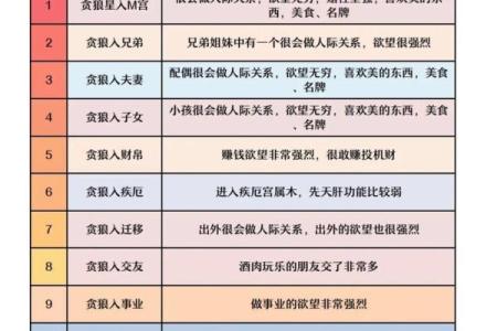 紫薇斗数贪狼化权
