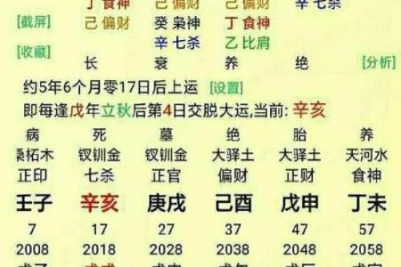 命运测试算命免费,怎样测算自己的命运