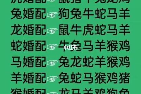属相羊配对姻缘 属相羊婚配属相最好？