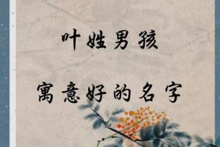 宝宝八字缺金爸爸姓叶男孩名字