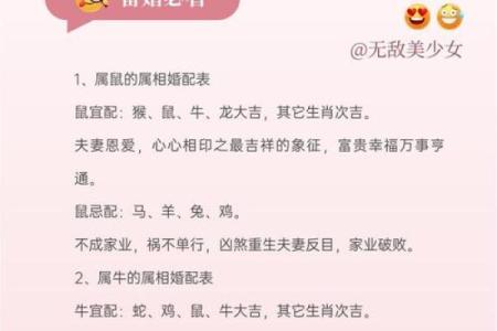 生肖兔配对猴姻缘表 生肖兔和生肖猴配不配？