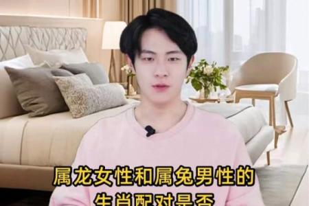 生肖配对属龙属兔的婚姻怎么样