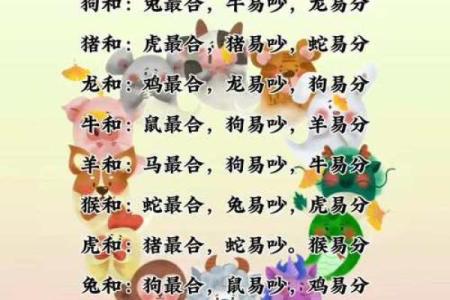 十二生肖配对表