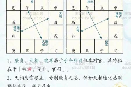 空亡，紫薇斗数