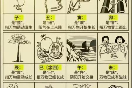 属狗的财运方位 从地支所在方向查看 西北方和东方都是不错的