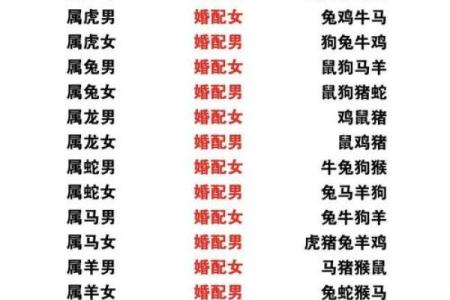 专用姓名配对 姓名配对 急切网？