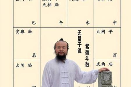 紫薇斗数如何兄弟多少