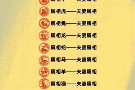 12生肖佳姻缘配对
