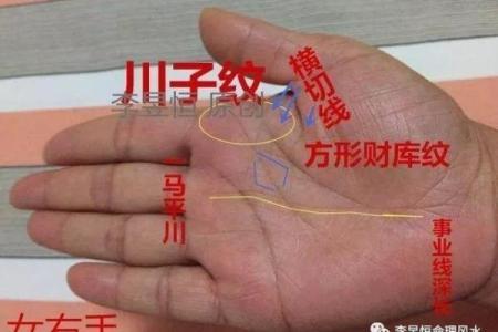 川字掌算命分析
