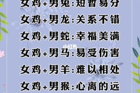 生肖配对姻缘查询鼠猴 生肖配对表鼠？