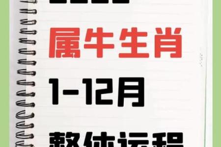 牛和牛的属相合不合 牛和牛配对可行吗