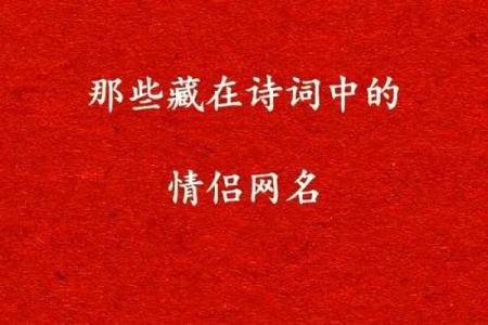 寻找有情人姓名配对 寻找有情人的诗句？