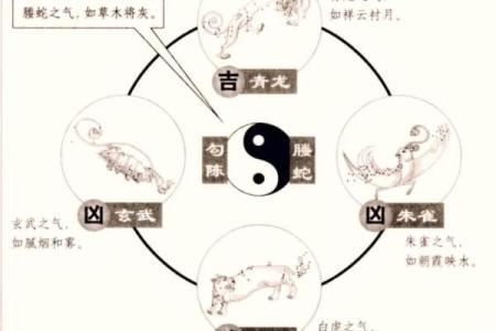 八字基础：五行旺相休囚死