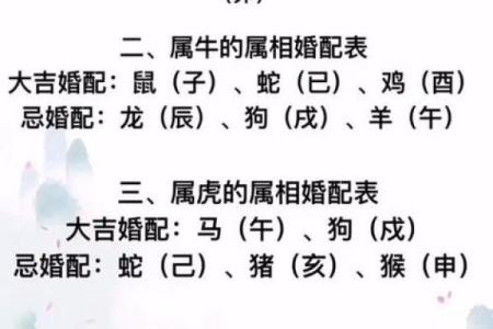 男女婚姻属相配对表 如何利用男女婚姻属相配对表选择恋爱对象