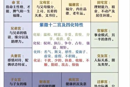 紫薇斗数主星择业