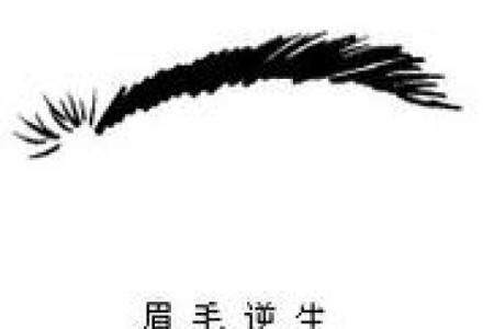 看相算命：详解脚底穴位图