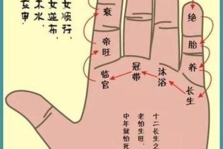 手相算命话语,手相算命说法