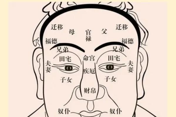 八字排盘怎么看图解