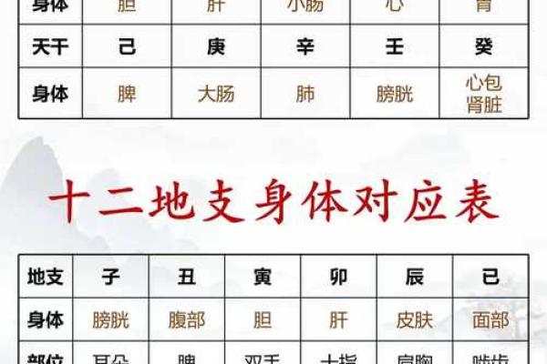生辰八字五行知健康，这要知晓