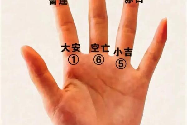 手指算命,手指掐算算命图解