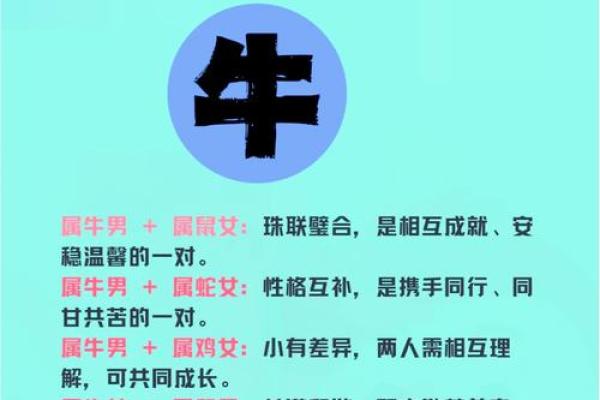 属牛和属牛的适合做夫妻吗 属牛夫妻配对可行吗