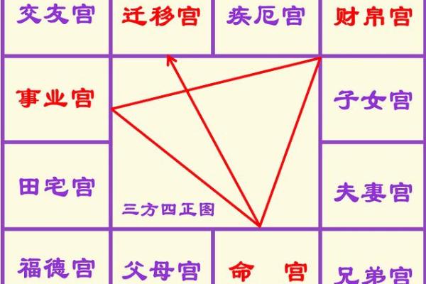 科紫薇斗数